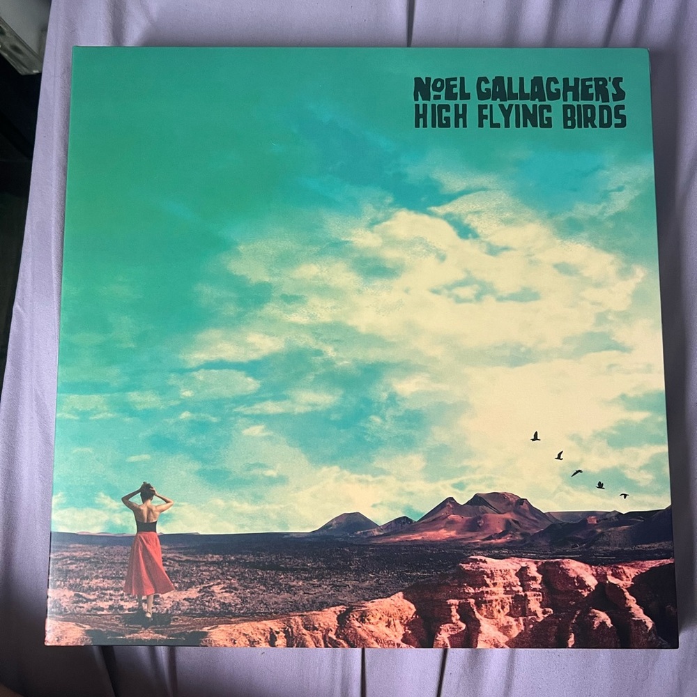 Noel Gallaghers High Flying Birds - Who built the moon Vinyl Record
